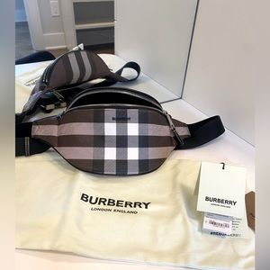 Burberry Exaggerated Check Mini Cason belt bag